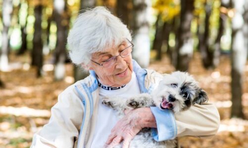 Top Benefits of Mobile Dog Grooming Services for Your Furry Friend