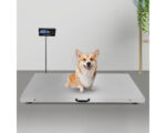 digital floor scales