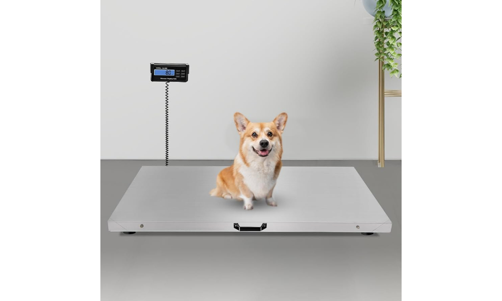 digital floor scales